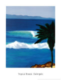 Tropical Breeze