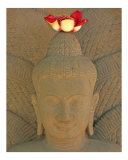 Buy Boddhi Buddha at AllPosters.com