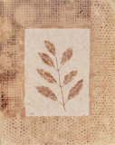 Buy Autumn Texture II at AllPosters.com