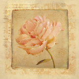 Buy Love Letters IV at AllPosters.com