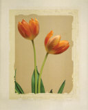 Tangerine Tulips I