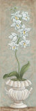 Lavish Orchids II