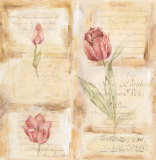 Buy Tulip Sonata I at AllPosters.com