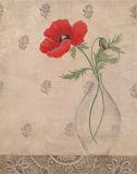 Perfect Poppy II