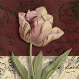 Buy Postcard Tulip at AllPosters.com