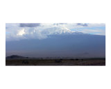 Buy Mt. Kilimanjaro Wide Angle at AllPosters.com