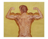 Buy Time of Bodybuilder - Back at AllPosters.com