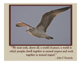 World of Peace