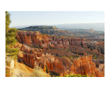 Bryce Morning