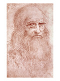 Portrait of a Bearded Man, Possibly a Self Portrait, circa 1513