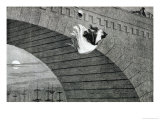 Buy The Gin-Crazed Girl Commits Suicide, Plate 8 of "The Drunkard's Children," 1848 at AllPosters.com
