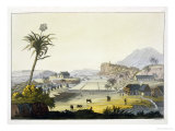 Buy Sugar Plantation, Antilles at AllPosters.com