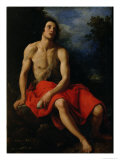 Buy St. John the Baptist in the Desert at AllPosters.com