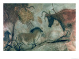Buy Rock Painting Showing a Horse and a Cow, circa 17000 BC at AllPosters.com
