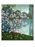 Buy Magnolia at AllPosters.com