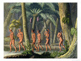 Buy Native American Puri Tribesmen in Their Forest, from "Le Costume Ancien Et Moderne" at AllPosters.com