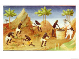 Buy Pepper Harvest in Coilum, Southern India at AllPosters.com