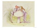 Buy An Elf and a Fairy at AllPosters.com