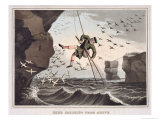 Buy Bird Catching from Above at AllPosters.com