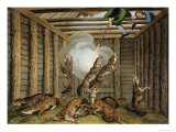 Buy American Anecdote Shooting the Wolves at AllPosters.com