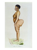 Buy The Hottentot Venus, Bushman Woman, from "L'Histoire Naturelle Des Mammiferes" at AllPosters.com