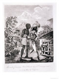 Buy The Mode of Training Blood Hounds in St. Domingo and of Exercising Them by Chasseurs at AllPosters.com