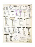 Corkscrews, from a Trade Catalogue of Domestic Goods and Fittings, circa 1890-1910