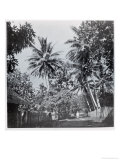 Buy A Street in Papeete, from "Tahiti," Published in London, 1882 at AllPosters.com