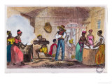 The Preparation of Mandioca Flour in the Antilles