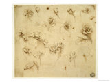 Buy Study of Flowers at AllPosters.com