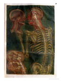 The Brain and the Spinal Chord, from "Exposition Anatomique De La Structure Du Corps Humain," 1759