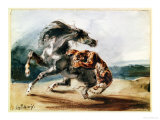 Buy Tiger Attacking a Wild Horse at AllPosters.com