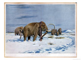 Buy Troop of Mammoths in the Ice Age at AllPosters.com