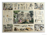 Educational Depiction of Gardening Giclee Print