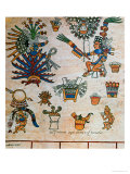 Buy Aztec Codex Borbonicus, "Tonalamatl," Detail Depicting the Goddess Mayahuel at AllPosters.com