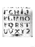 Buy Devilish Alphabet at AllPosters.com