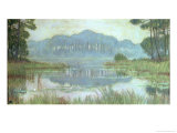 Buy Landscape with Overgrown Pond, circa 1900 at AllPosters.com
