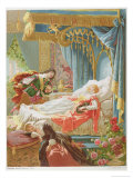 Buy Sleeping Beauty and Prince Charming at AllPosters.com
