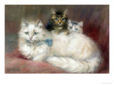 Buy A Persian Cat and Her Kittens at AllPosters.com