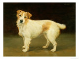 Buy A Portrait of Skimp at AllPosters.com