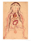 Buy Anatomical Diagram of a Woman and Her Foetus at AllPosters.com