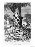 Buy The Tree of Cannibals, Illustration from "Five Weeks in a Balloon" by Jules Verne Paris, Hetzel at AllPosters.com
