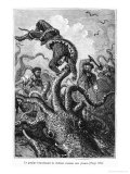 The Octopus Attacking the Nautilus, Illustration from 