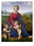 Madonna in the Meadow, 1505 or 1506