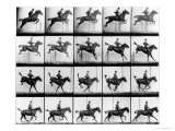 Buy Man and Horse Jumping, from "Animals in Motion", London, Published 1907 at AllPosters.com