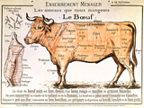 Buy Beef: Diagram Depicting the Different Cuts of Meat at AllPosters.com