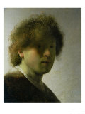 Self Portrait as a Young Man, circa 1628