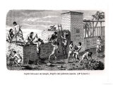 Buy Slaves Building a Temple, after an 18th Dynasty Mural at AllPosters.com