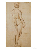 Study of David, after Michelangelo