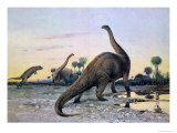 Prehistoric Animals: a Laelaps Attacking a Brontosaurus